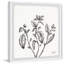 Mint Leaves - Single Picture Frame Print-1344307481