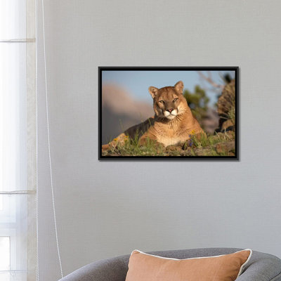 Mountain Mountain Portrait, North America II par Tim Fitzharris - reproduction d'art sur toile tendue