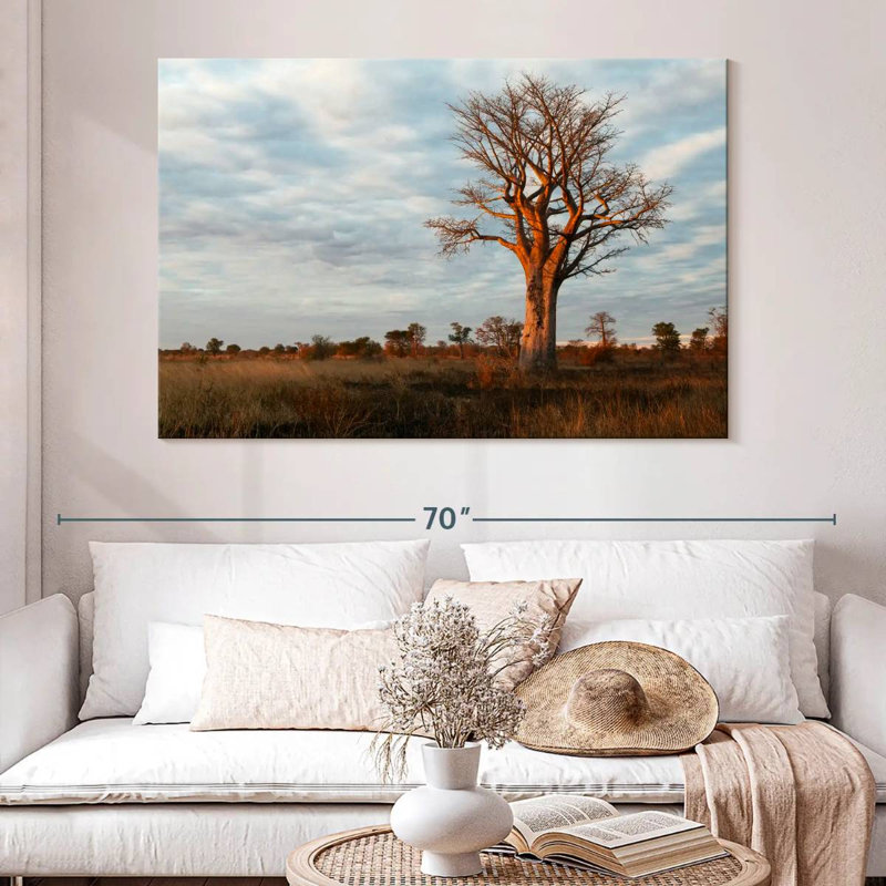 Baobab zambien Harnek, H 34 po x l 51 po