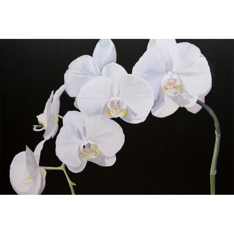 Dramatic Orchids I - Photograph, 81 cm H x 122 cm W, Black Floater Framed