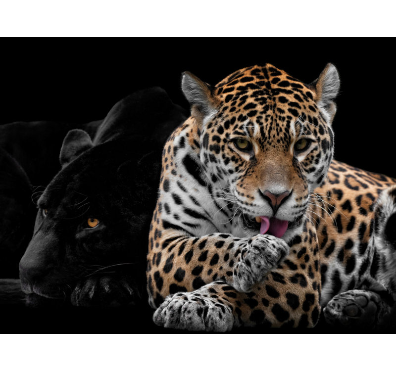 Wrapped Canvas Print, 60.96 cm H x 91.44 cm W