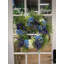 26" Lavender Hydrangea And Heather Wreath