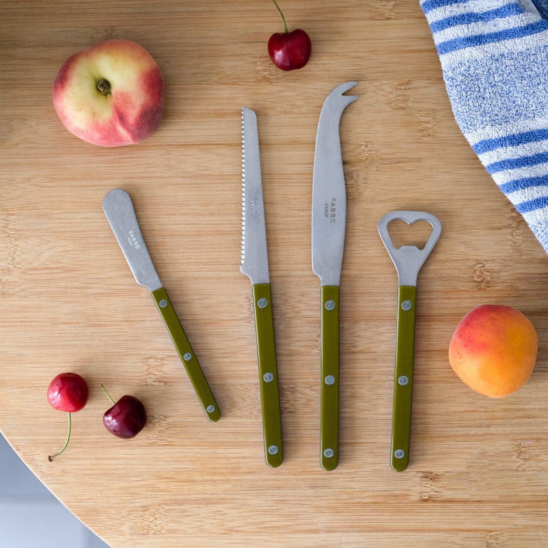 Bistrot 4 - Piece Stainless Steel Flatware Set - Service for 1, Green Fern