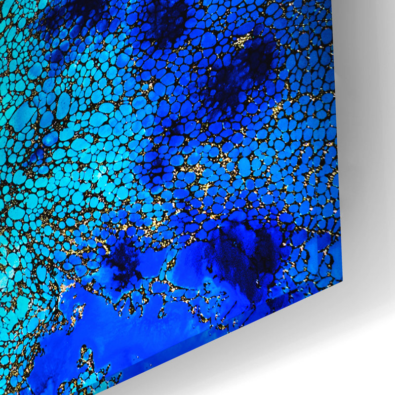 Art mural en verre acrylique épique «Reef Resson» par Petra Meikle de Vlas, 24 po x 16 po