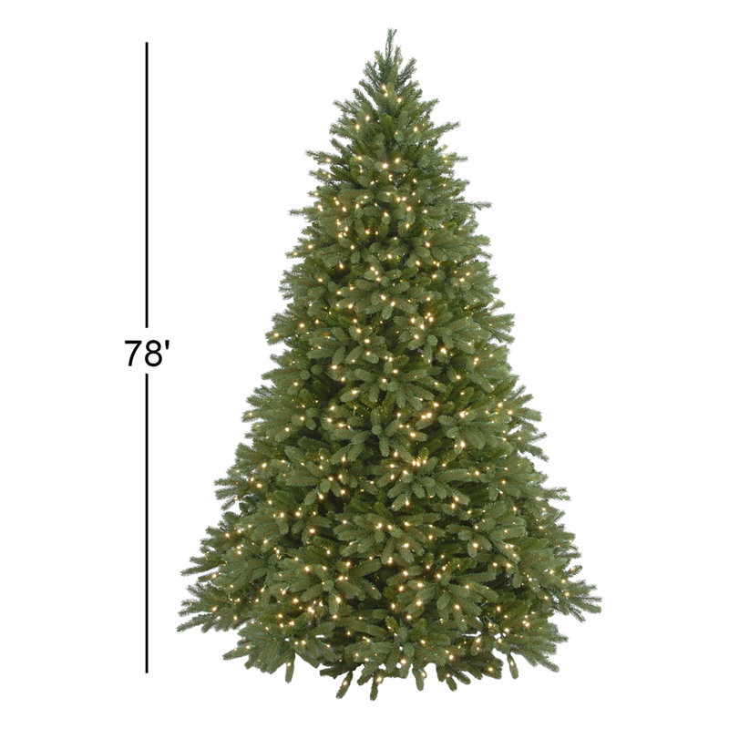 Jersey Fraser Fir Tree with Clear Lights, 8'
