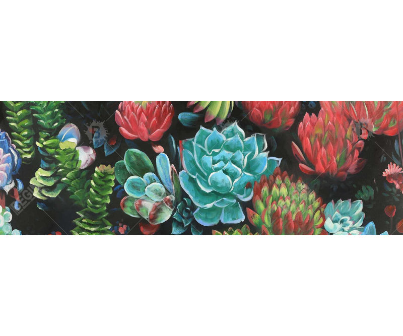 Ensemble de plantes grasses colorées - imprimé floral encadré mat