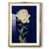 Gold Framed Paper