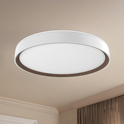 Essex Acrylic LED Flush Mount