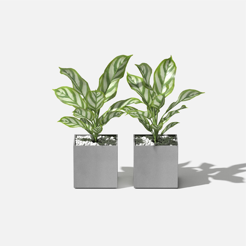 Geo Series Cube Planter, Gray, 2