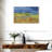 The Fields-107503827