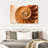 Aletra Nautilus Shell Inside-107680919