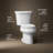 Wellworth 1.28 GPF Water Efficient Elongated Two-Piece Toilet (Seat Not Included)-10978051