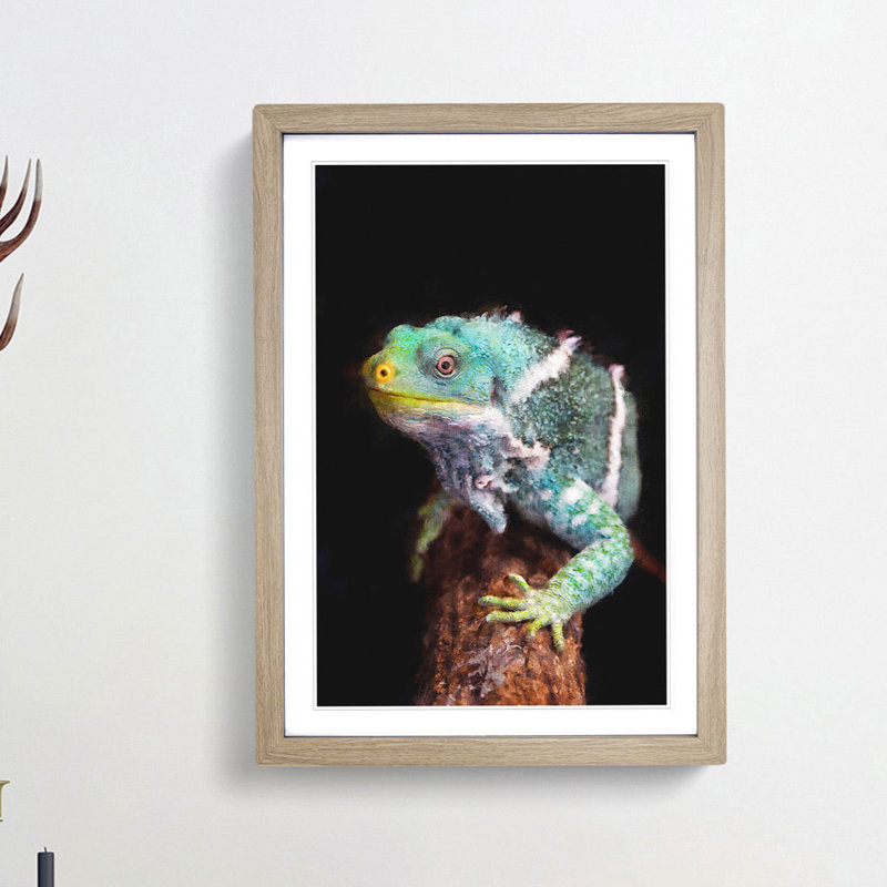 Fiji Iguana - Picture Frame Painting Print, 33cm H x 24cm W x 2cm D, Oak Framed