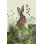 " Cabbage Patch Rabbit 2 "