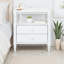 Godfree Two Drawer Nightstand (Set Of 2)-1564777508