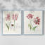 Two Tulips I-Premium Framed Print -Ready to Hang - No Nails Required - No Nails Required-2134775741-2134775616