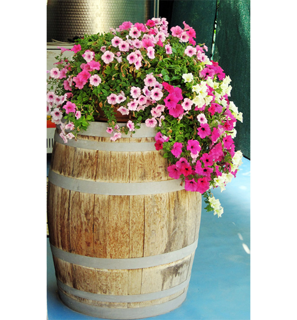 Wood Barrel Planter MGP