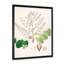Botanique rétro - peinture sur toile-59815018-59815023