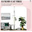 Arbre à chat, arbre à chat du sol au plafond