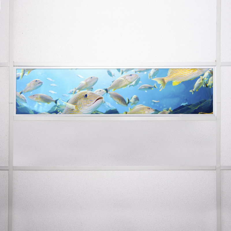 Ocean Rectangle Fixture Component Ceiling Light