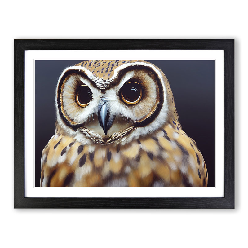 Fab Owl - Single Picture Frame Painting, Black, 25cm H x 34cm W x 2cm D