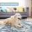 Machine Washable Area Rugs For Living Room Non-Slip Backing Foldable Boho Floral Carpet Rugs-1885162475