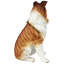 Figurine pour chien Long - Haired Collie