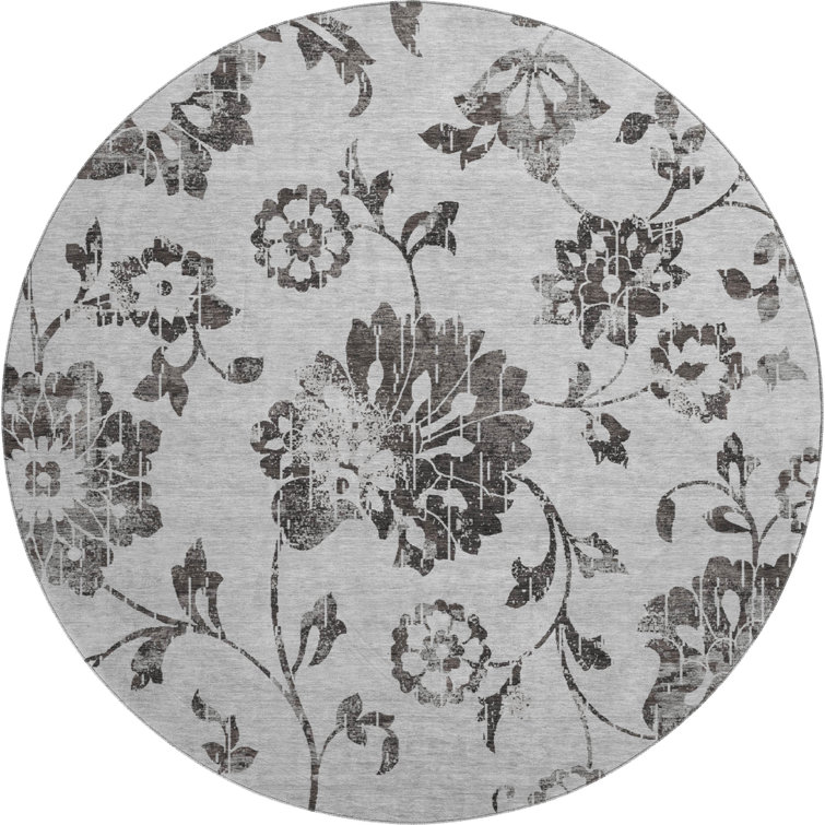 Premium Machine Washable Prisco Gray Rug