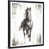 Black Floater Framed selected
