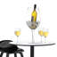 Red Wine Glass