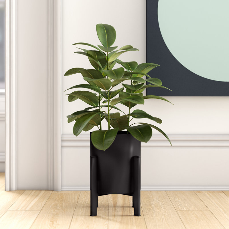 Pot à fleurs en plastique Dammion, Noir