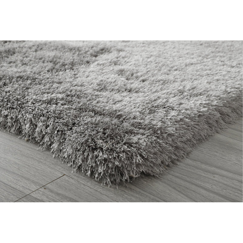 Tapis argenté à poils longs Selsey, Rectangle 4 pi x 6 pi