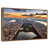 Floating Frame Gold