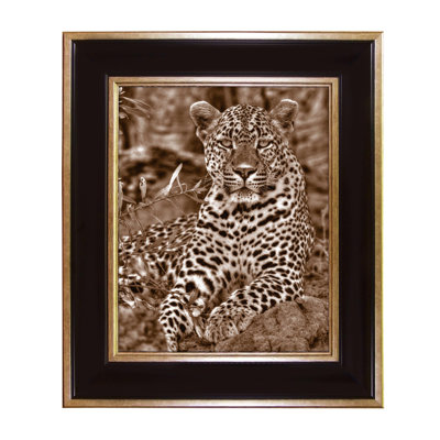 Single Picture Frame Print