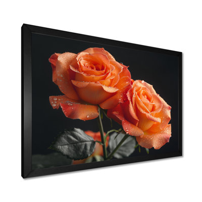 Glamorous Glow Orange Roses On Black II - Roses Wall Art