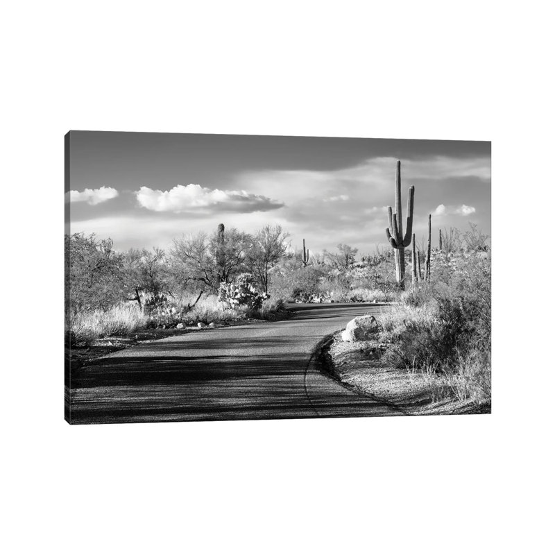 Desert Road - Wrapped Canvas Print, 66.04 cm H x 45.72 cm W x 3.175 cm D