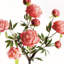 PEONY BRANCH 31 pouces-1808992882