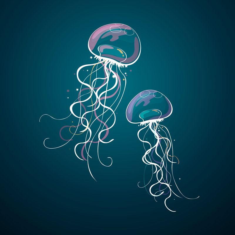 Jelly Fish - Wrapped Canvas Print, 91cm H x 91cm W x 3.8cm D