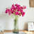 Fuchsia est en rupture de stock