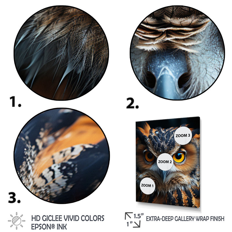 Browm Owl Animal Portrait II - animaux, impressions sur toile, Cadre flottant doré, H 44 po x l 34 po x P 1,5 po