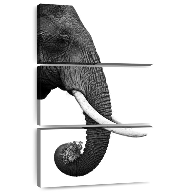 Brampt Elephant Tusk, 65" H x 42" W