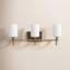 Rowley 3 - Light Dimmable Vanity Light-871800668