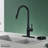 Boyel Living Pull Down Kitchen Faucet-79113187