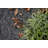 Indoor Rug-153477836