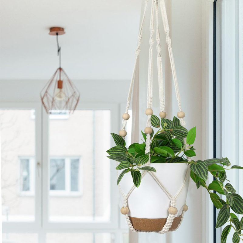 Cintres à plantes avec pots et soucoupes, Blanc