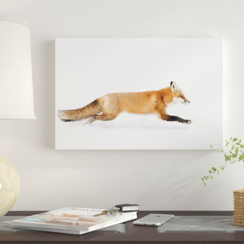 «Red Fox on the Run - Algonquin Park», impression sur toile, H 26 po x l 40 po x P 1,5 po, Toile tendue, Pas de tapis