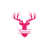 Rose vif