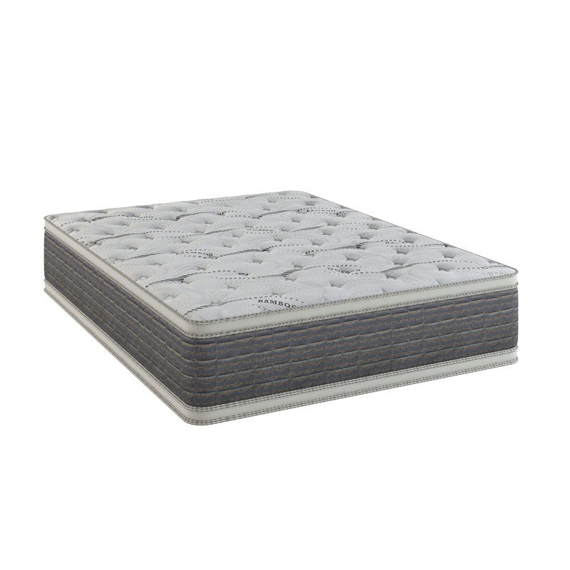 Matelas à plateau-coussin 14,5 po Dream Flex, Simple extra long