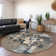  Machine Washable Indoor/Outdoor Chayden ACN1028 Rug