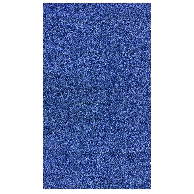 Indoor Rug, 8' x 5'